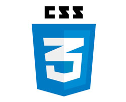 Website Designing & Development company in Delhi, India